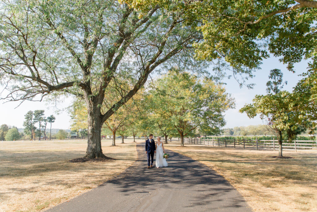 BVTLive! For Wedding Music Near Baltimore